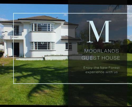 New Forest District Bed & Breakfast | Moorlands