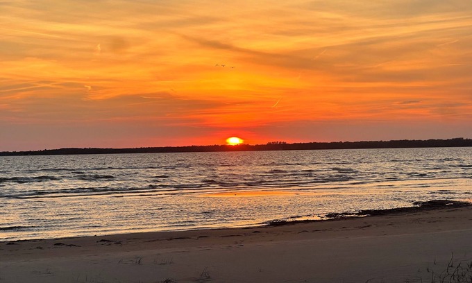 Garden Township Hotel | Moose Resort