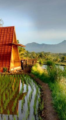 Kecamatan Montong Gading Haus | Muni's Terrace Bungalow