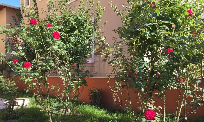 Marmara Wohnung | Murat Kaptan Apart Otel