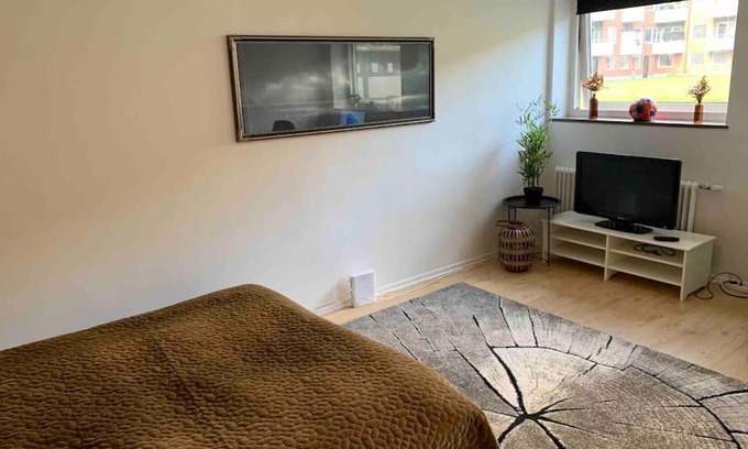 Helsingborg Wohnung | Mysig & lugn lägenhet centralt