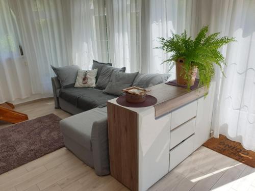 Abrahamhegy Haus | Nádliget Vendégház
