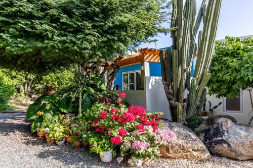 Paradera Kabine | Naïma Luxury Home, Cottage & Apartment Rentals