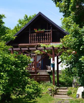 Breznik Plesivicki Kabine | Na Okić - a private forest oasis