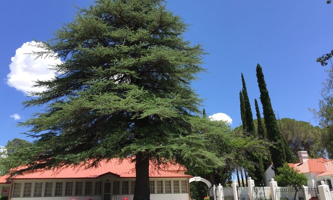 Faywood Haus | NAN Ranch - auf der magischen Mimbres River of New Mexico, einem Historic Retreat