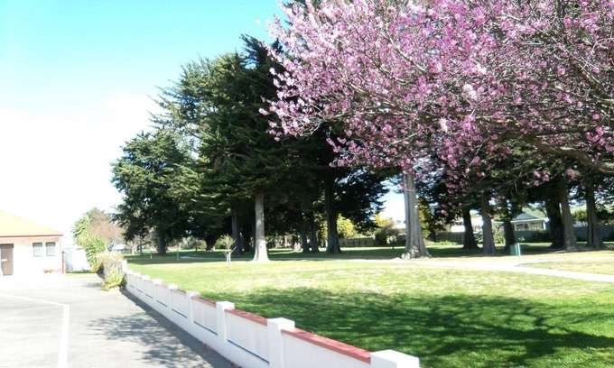 Napier Hotel | Napier Nest Motel: Pet-Friendly with Kitchenette