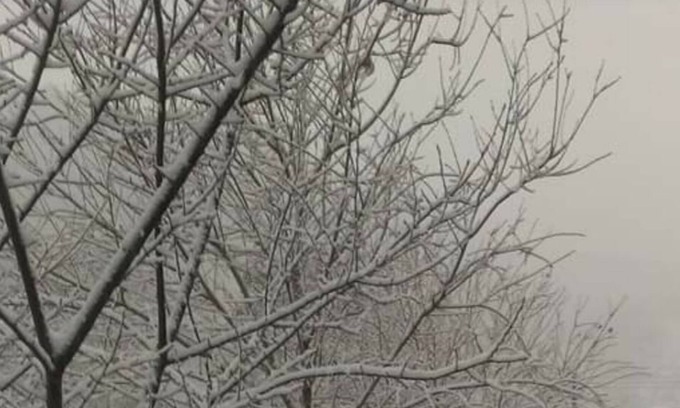 Jianshi Haus | Nasun bed and breakfast