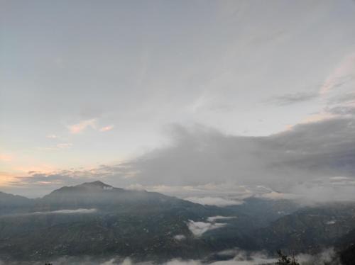 Mashobra Haus | Nature Heaven Homestay