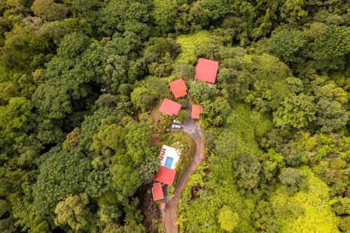 Ballena Kabine | Nature's Edge Boutique Hotel