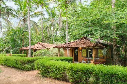 Sancordem Sonstige | Nature's Nest Eco Resort Goa, Near Dudhsagar Waterfalls