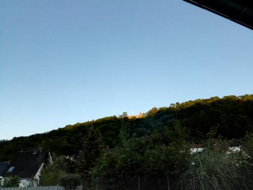 Bad Duerkheim Wohnung | Naturnahe FeWo in Bad Dürkheim-Hausen