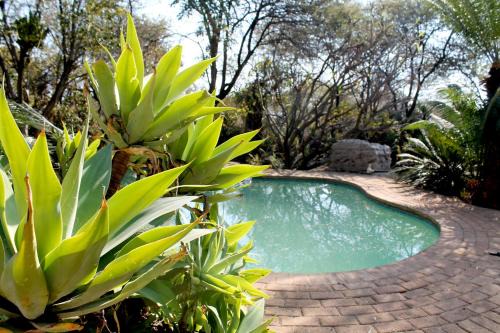 Kareeberg Haus | Ndlovu 41 inside the Dinokeng Big 5 Game Reserve