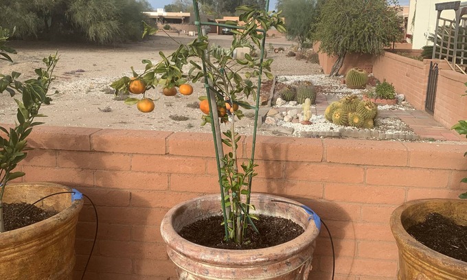 Colonia De Los Alamos Eigentumswohnung | Need a restful transition before renewing You? This is your spot