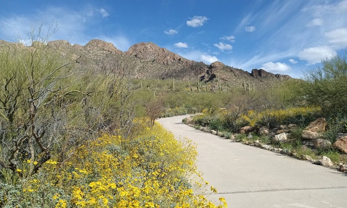 Oro Valley Hütte | Nestled on Pusch Ridge Mountain in Oro Valley with full kitchen