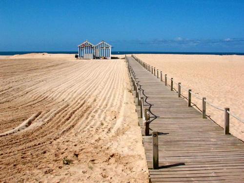Figueira da Foz Wohnung | NEW APT center 1 min walk beach/river/casino!