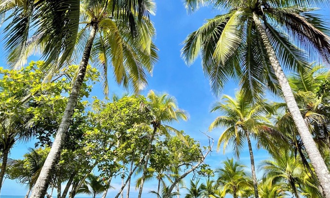 Central Pacific Coast Haus | NEW DIRECT BEACHFRONT VILLA, 2 BR, 2bath-stunning sunsets- discounts, book now