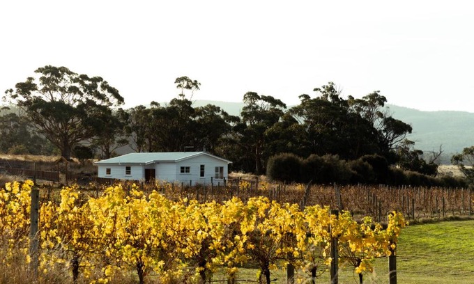 Little Swanport Wohnung | *New* Pip's Place at Lisdillon Vineyard