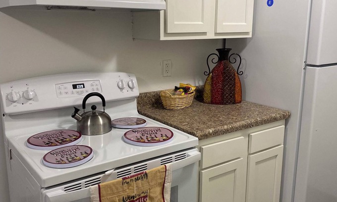 East Lansing Wohnung | Newly Remodeled and Cozy Apartment close to MSU, Hospitals, and Entertainment!