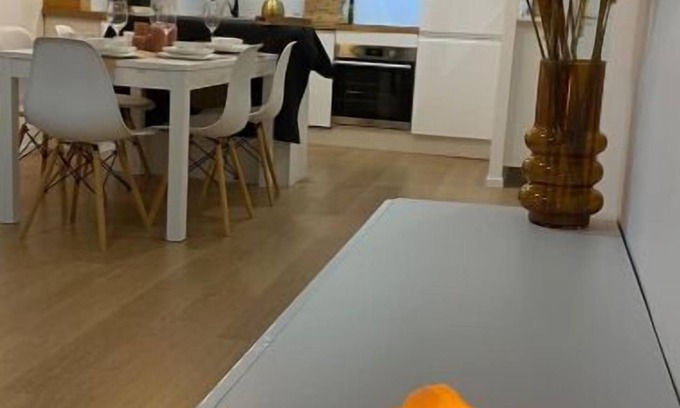 Eloise Wohnung | Nice and cosy flat near Geneva or Annecy
