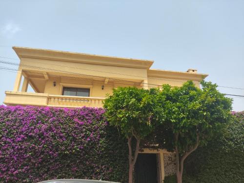 Oulad Khallouf Bed & Breakfast | No21 Loulan Villa21号别墅民宿