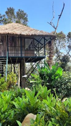 Pirmed Haus | Noah's Nest Tree House
