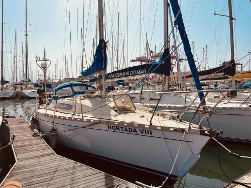 Lisbon Bootsverleih | Nortada Central Boat Escape