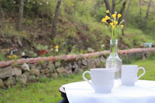 Castiglione dei Pepoli Bed & Breakfast | Oak Tree Ranch