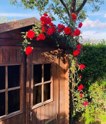 Nola Haus | Oasi di benessere nei vostri viaggi