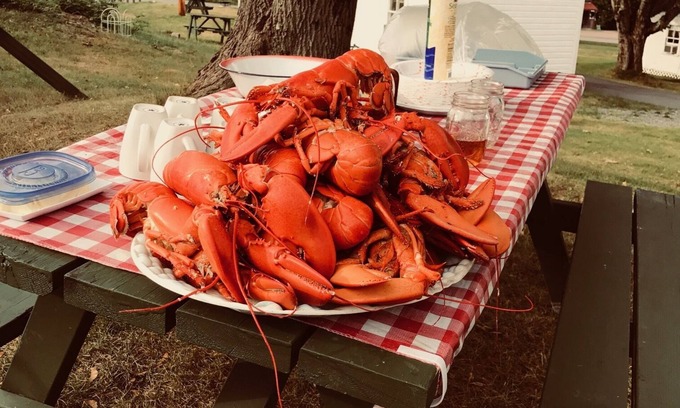 Salsbury Cove Hütte | Oceanfront Cottage at Acadia National Park, Bar Harbor/Piper Cottage