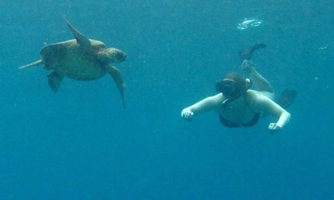 Maalaea Eigentumswohnung | OCEANFRONT SOMMER SPECIAL! $ 250 / Nacht 2 Zim., 2 Bäder, zentrale Klimaanlage