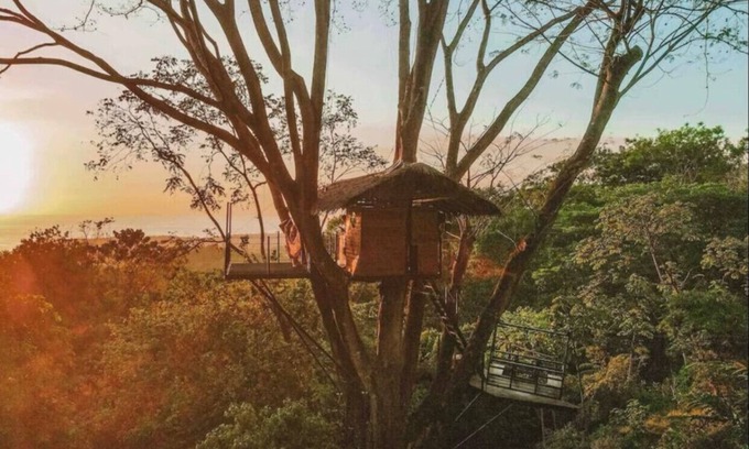 Ballena Kabine | Oceanview Jungle tree house