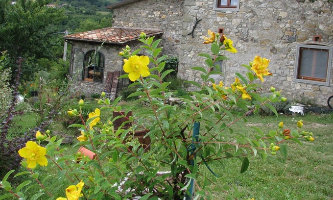 Caprese Michelangelo Haus | Alte restaurierte Scheune, mit privatem Pool und Blick ins Tal