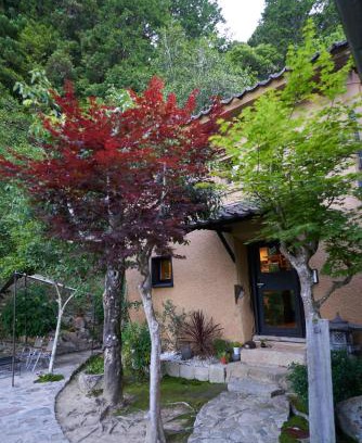 Soja Wohnung | OldbutNew 蔵