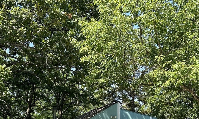 Hermitage Kabine | “On The Edge” Cabin Secluded, quiet, peaceful, private community