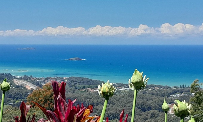 Korora Wohnung | ON TOP OF THE WORLD Garden Studio Panoramic Ocean Views, Close to Town & Beaches