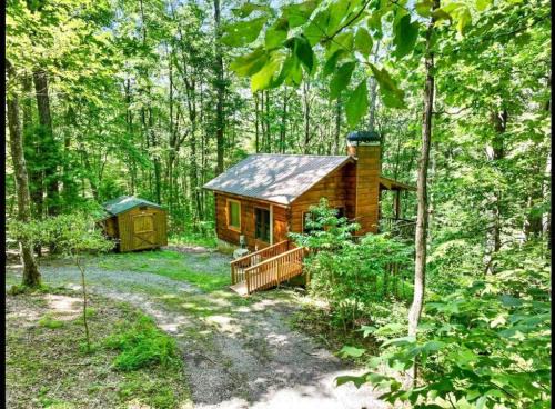 Blue Ridge Haus | Open Studio Lodge at Little Rock Creek