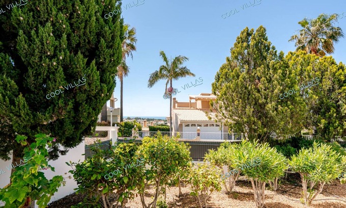 Cerro de Aguia Villa | Orquidea