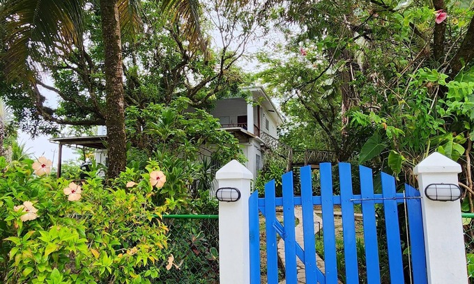 Forest Home Wohnung | Our Sea of Blue Suite faces the Caribbean and awaits you
