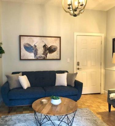 Downtown Dunedin Wohnung | Overlooking Downtown Dunedin Two Bedroom apartment NO KIDS, NO PETS