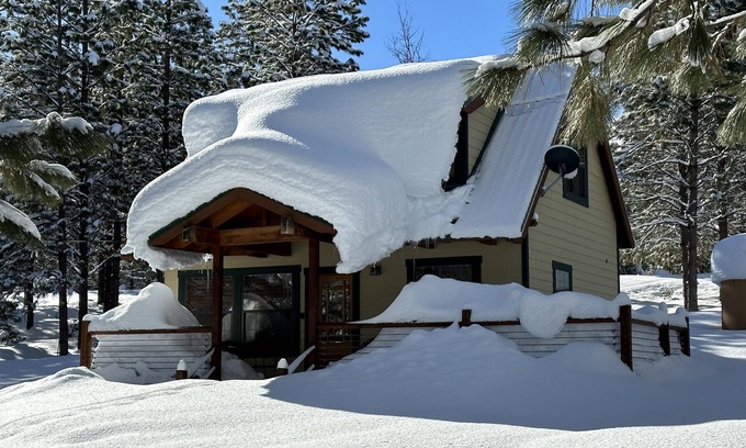 Foresta Kabine | Owl Moon Cabin - Rare jewel of a cabin located inside Yosemite National Park