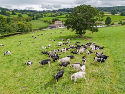 Gloucester Haus | Owls Nest Barn
