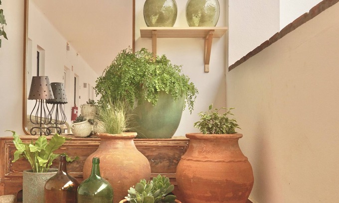 Almeirim Haus | Pátio das Ribeiras