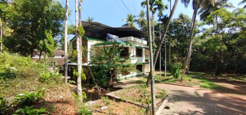Inna Haus | Palm creek