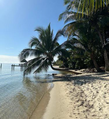 Placencia Wohnung | Palm & Pelican