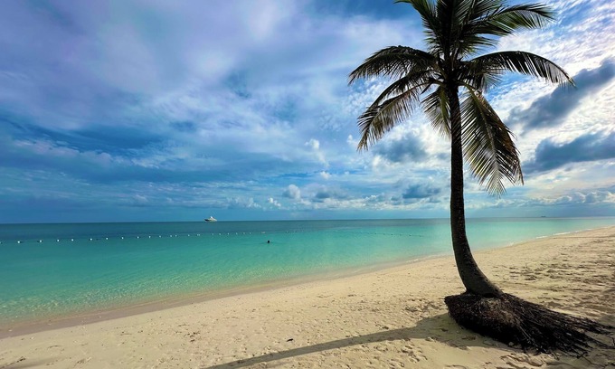 Williams Town Eigentumswohnung | Palm Tree Cove - Stunning Partial Ocean Views; Beachfront Location!