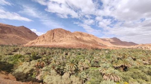 Toudgha El Oulia Haus | Palmeraie Guest House