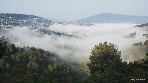 Almora Haus | PandeyGuestHouse