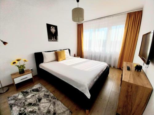 Tirgu Mures Wohnung | Panoramic City View Apartment