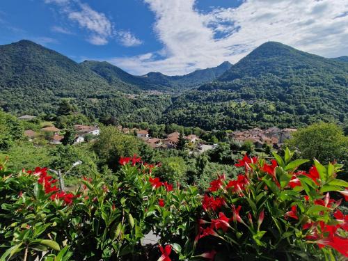 Dizzasco Wohnung | Panoramic View La Quiete