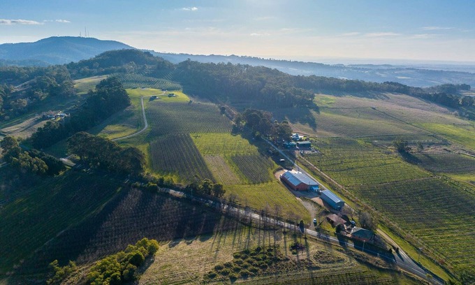 Canobolas Haus | Panoramic Views on Pinnacle - 3 Bedroom Farm Stay